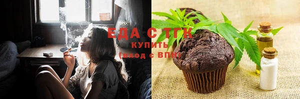 твердый Заводоуковск