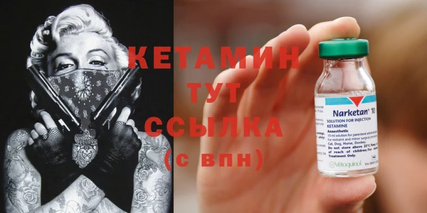 твердый Заводоуковск
