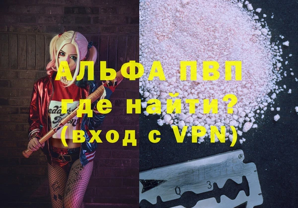 твердый Заводоуковск
