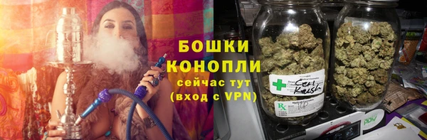 твердый Заводоуковск