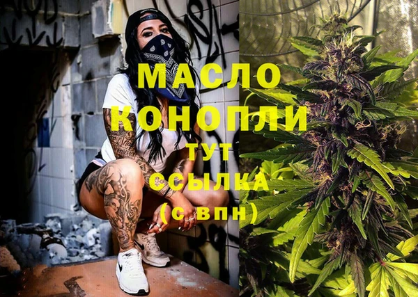 твердый Заводоуковск