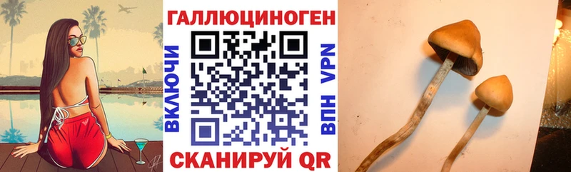 МЕГА маркетплейс  Ангарск  Псилоцибиновые грибы ЛСД 